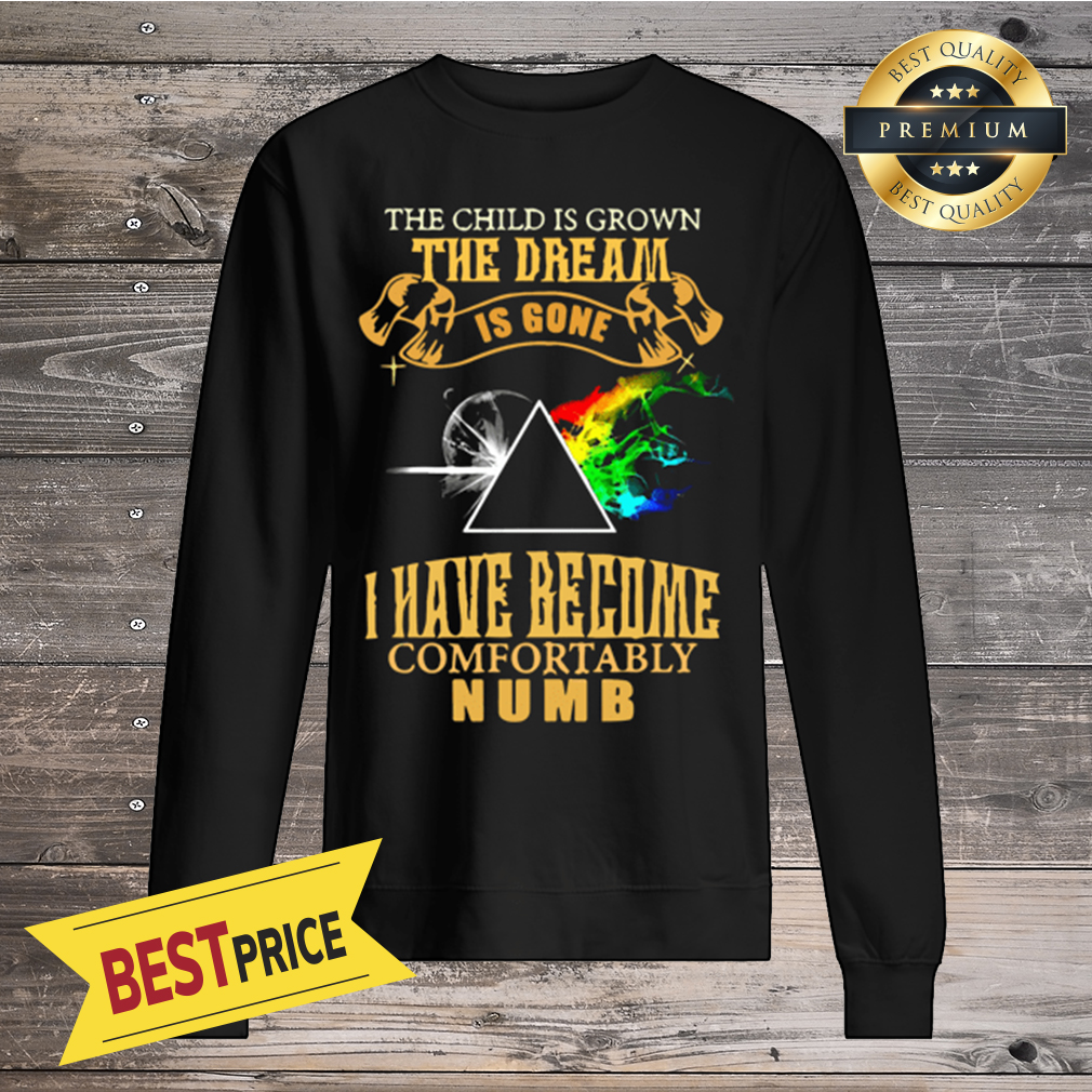 Pink Floyd the dream is gone i have become comfortably numb shirt