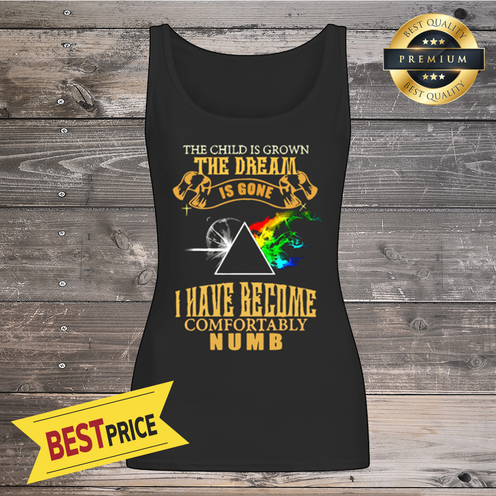 Pink Floyd the dream is gone i have become comfortably numb shirt