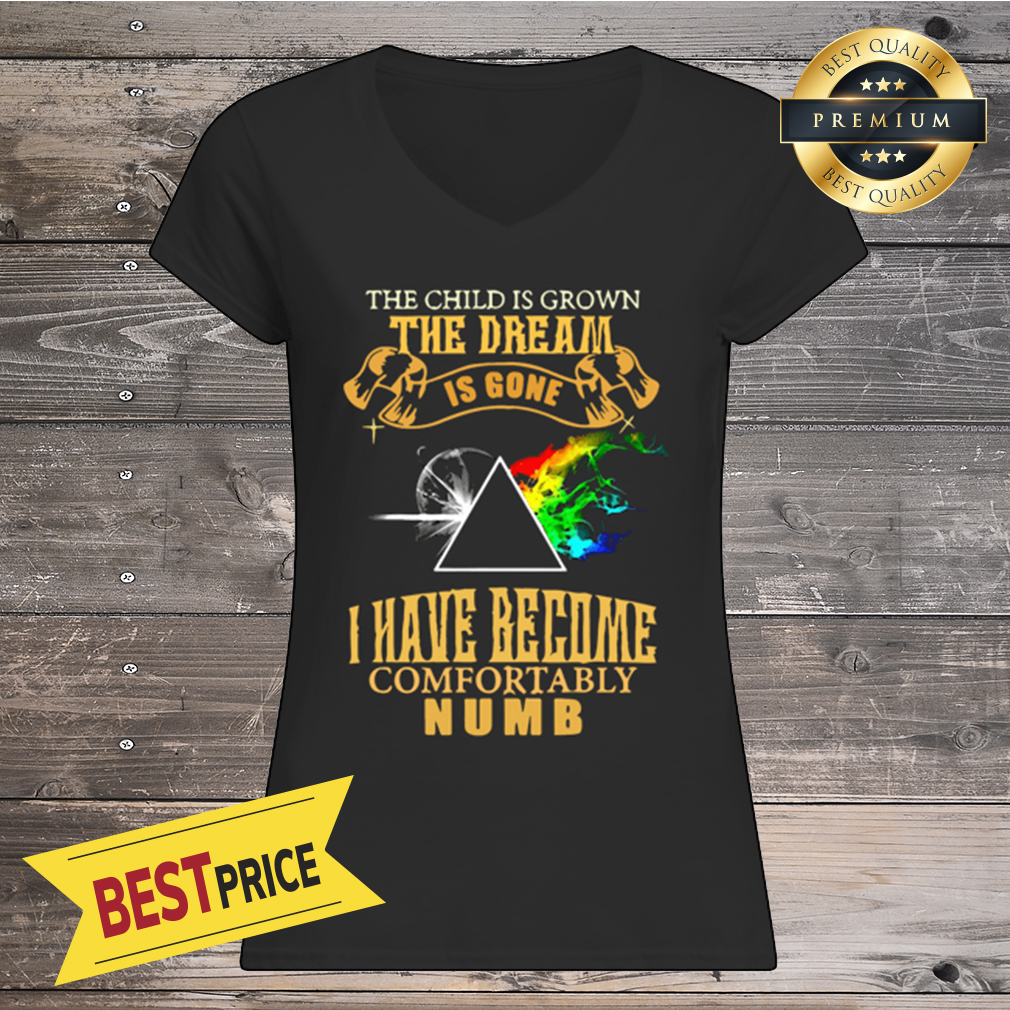 Pink Floyd the dream is gone i have become comfortably numb shirt