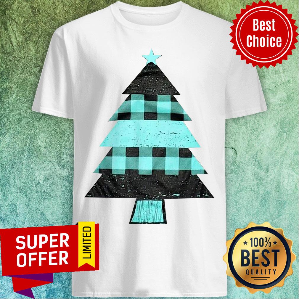 Premium Mint Farmhouse Christmas Raglan Shirt