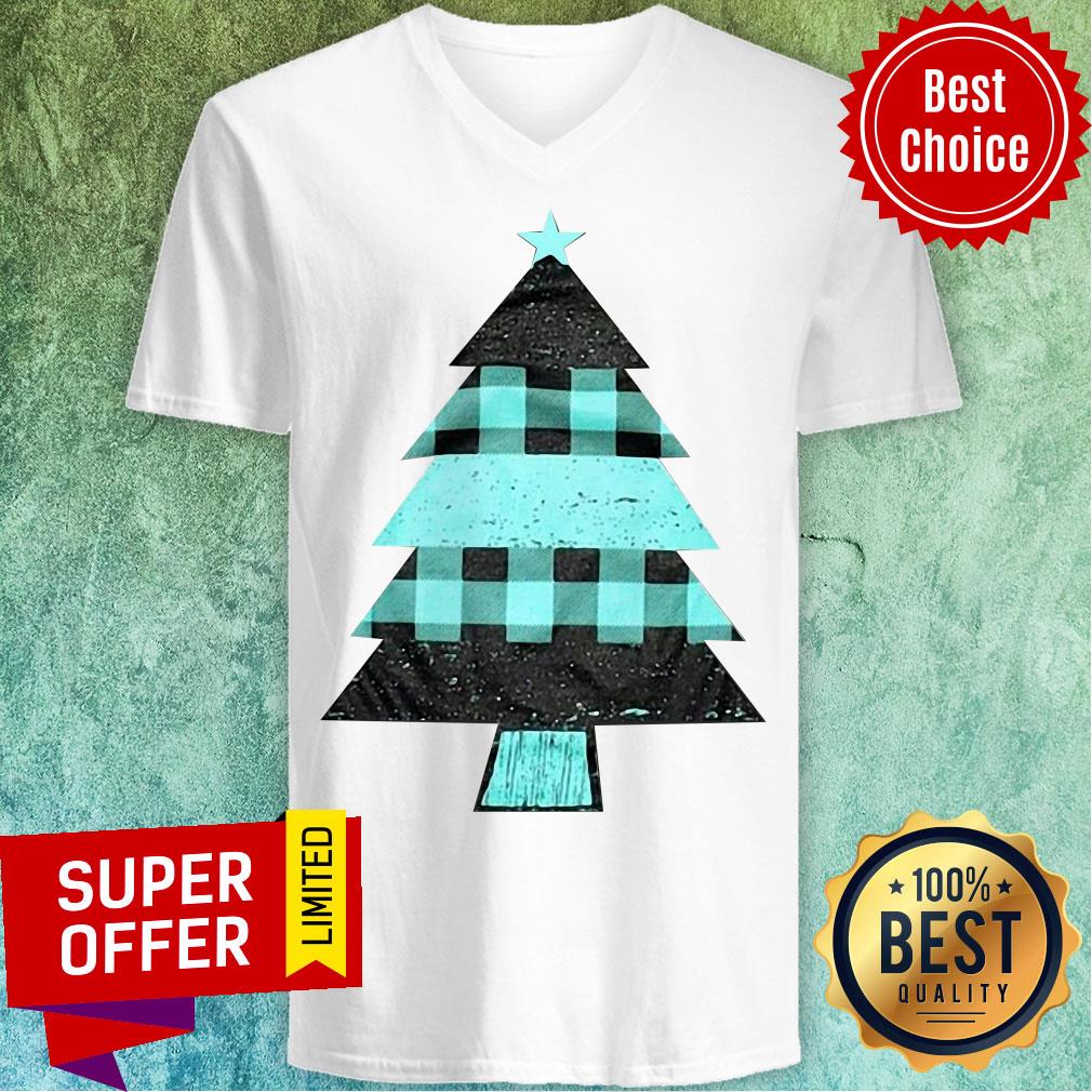 Premium Mint Farmhouse Christmas Raglan Shirt