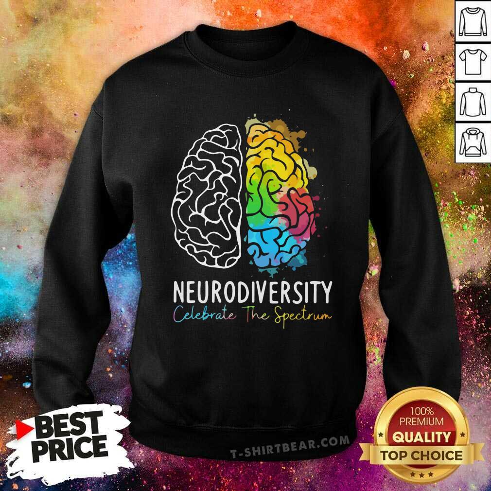 Premium Neurodiversity Celebrate The Spectrum Shirt