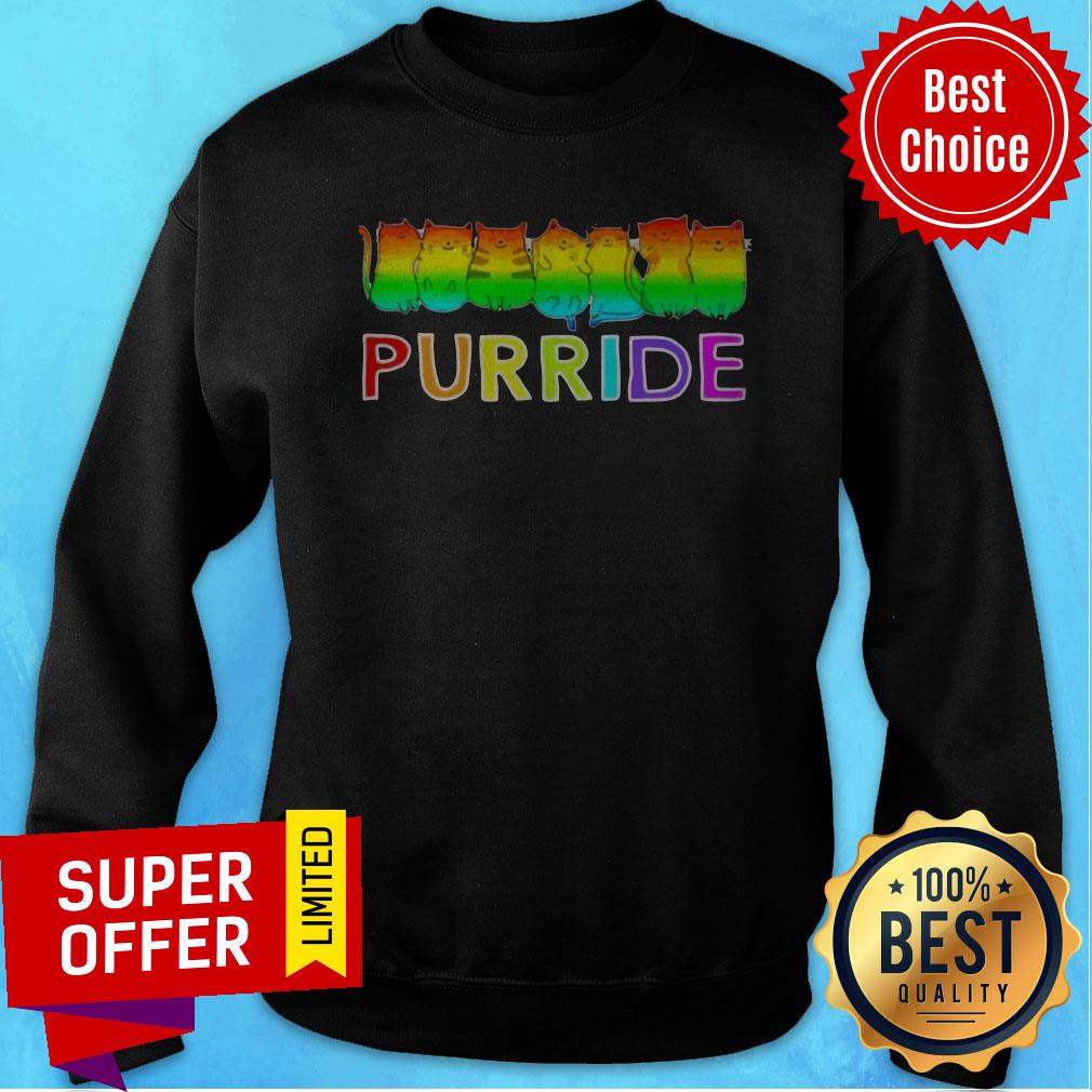 Premium Purride Cat Lgbt Pride Tee Gift Shirt