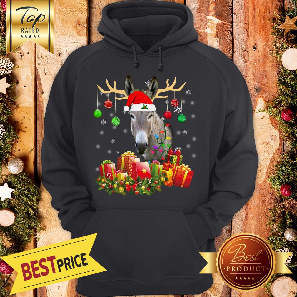Pretty Donkey-Santa-Hat-Christmas-Light-Xmas Hooded Shirt