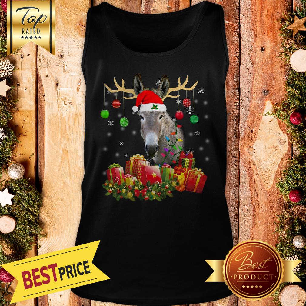 Pretty Donkey-Santa-Hat-Christmas-Light-Xmas Hooded Shirt