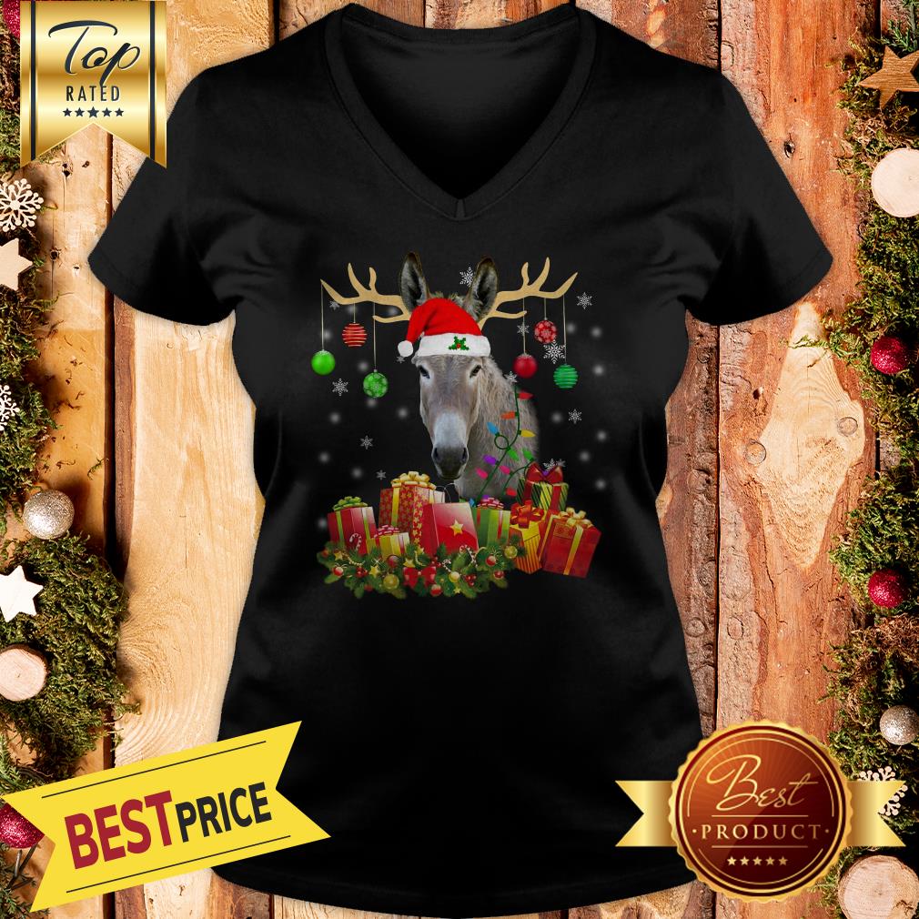 Pretty Donkey-Santa-Hat-Christmas-Light-Xmas Hooded Shirt