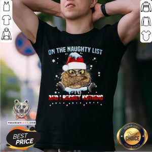 Cute Owl On The Naughty List And I Regret Nothing Christmas Shirt