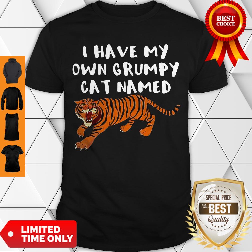 Cute I Have My Own Grumpy Cat Named Tiger Shirt