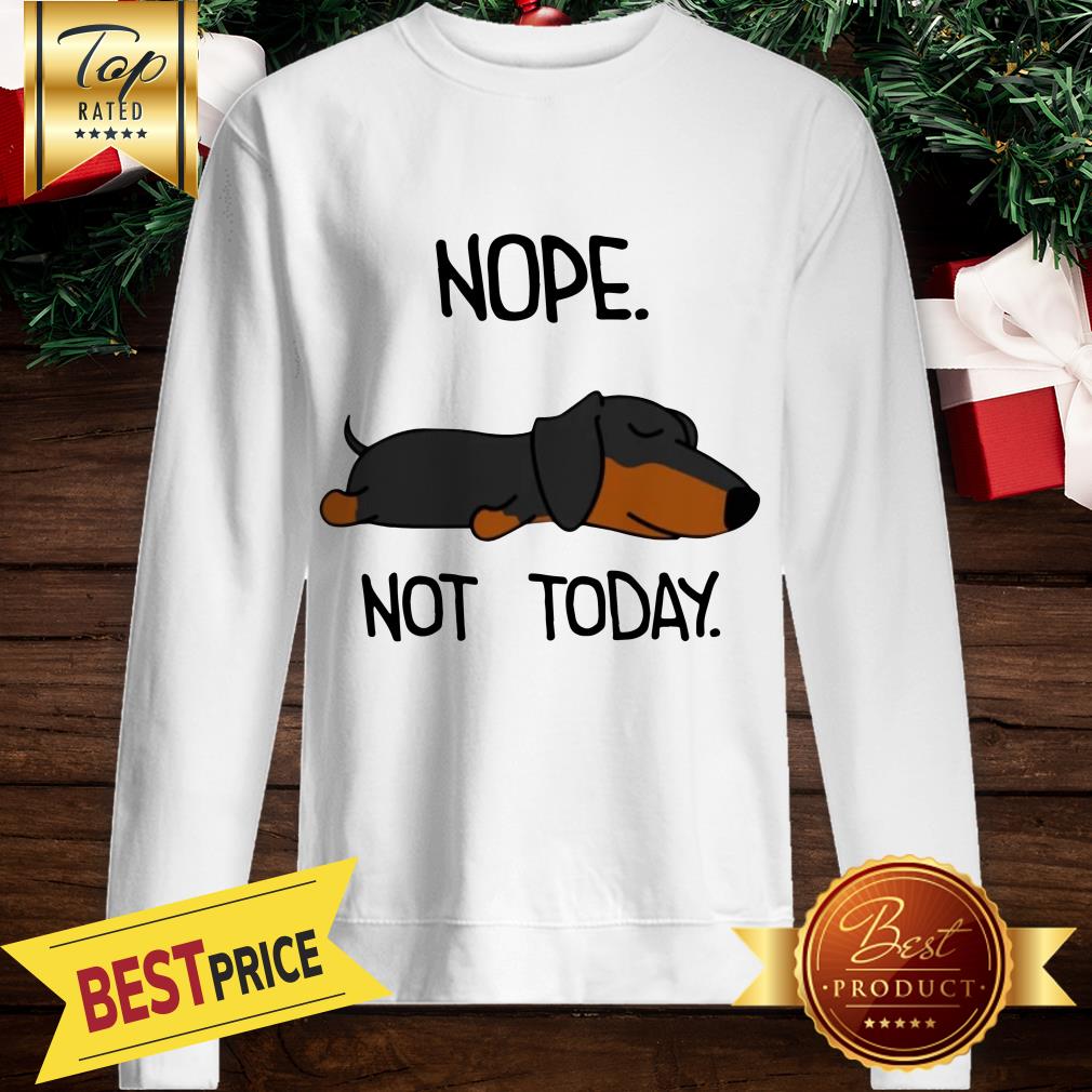 The Dog Is Sleeping Nope Not Today Shirt