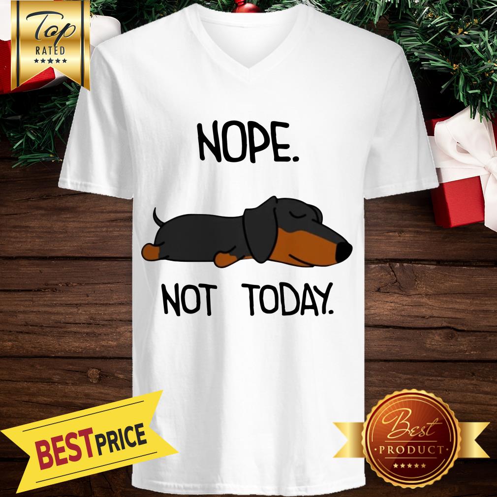 The Dog Is Sleeping Nope Not Today Shirt