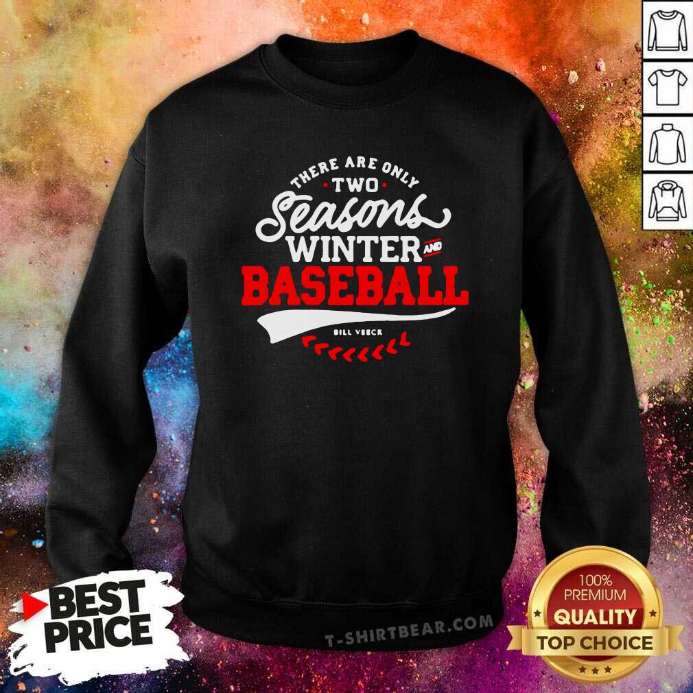 There Are Only 2 Seasons Winter And Baseball Shirt