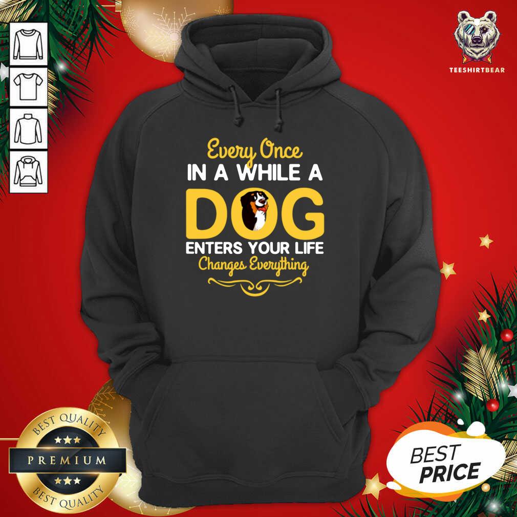 top-every-once-in-a-while-a-bernese-mountain-dog-hoodie.jpg