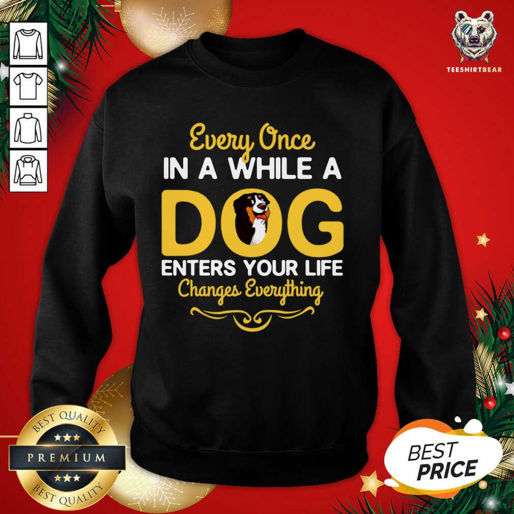 top-every-once-in-a-while-a-bernese-mountain-dog-sweatshirt.jpg
