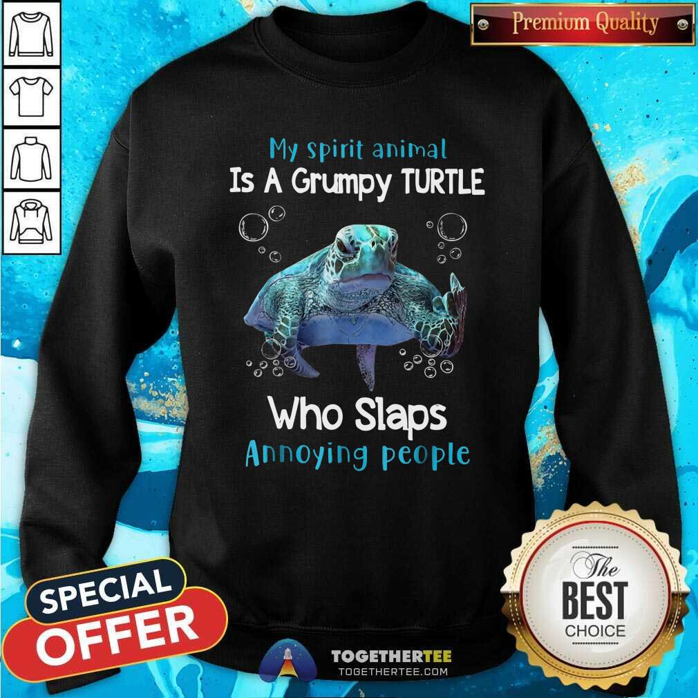 Top My Spirit Animal Is A Grumpy Turtle Shirt