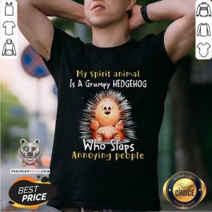 Cute My Spirit Animal Is A Grumpy Hedgehog Who Slaps Annoying People Shirt