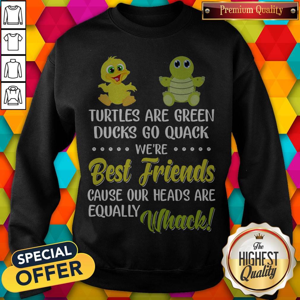 turtles-are-green-ducks-go-quack-were-best-friends-because-our-heads-are-equally-whack-sweatshirt.jpg