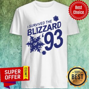 Premium I Survived The Blizzard Of 93 Shirt