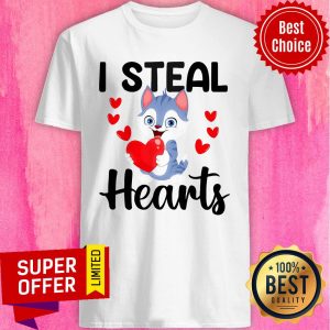 Funny Cat I Steal Hearts Shirt