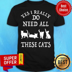 Top Yes I Really Do Need All These Cats Shirt