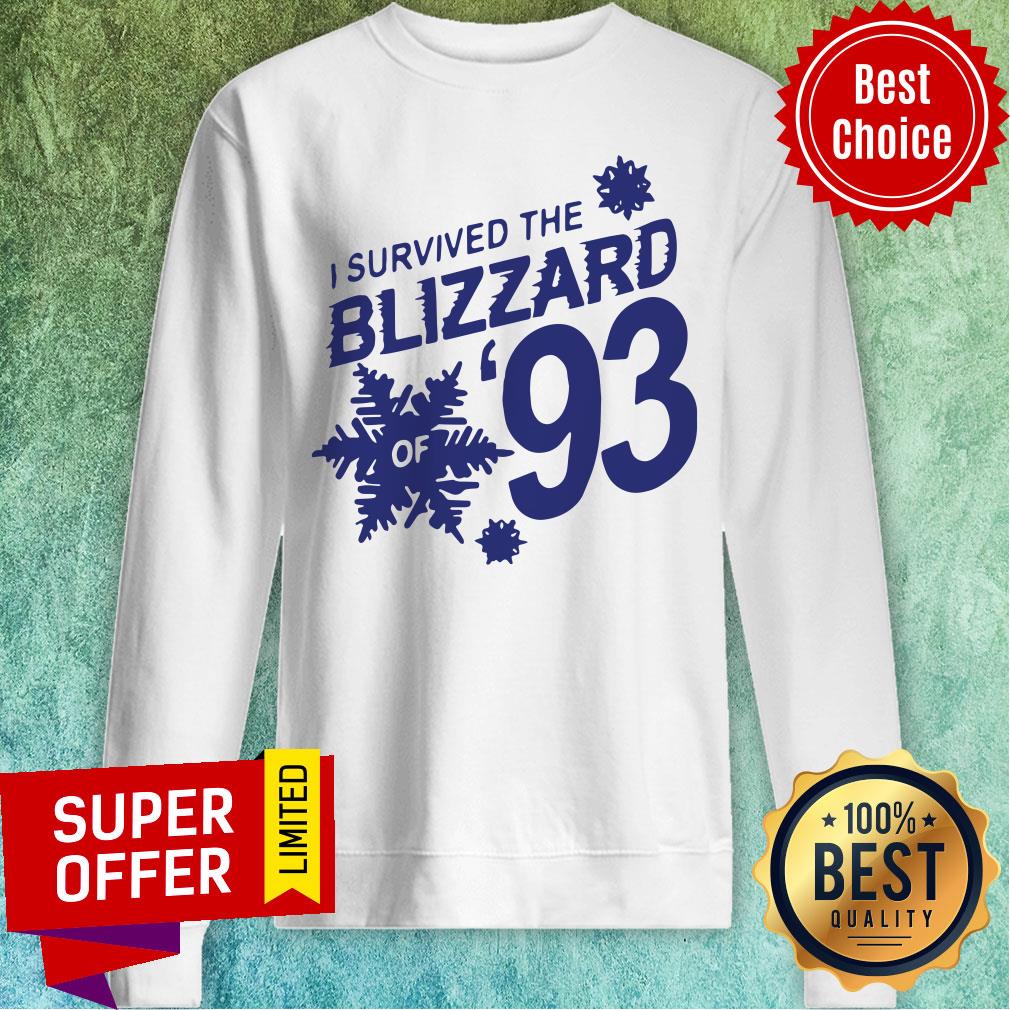 Premium I Survived The Blizzard Of 93 Shirt