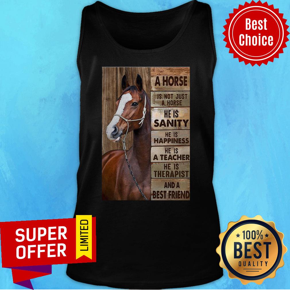 A Horse Is Not Just A Horse He Is Sanity He Is Happiness He Is A Teacher Shirt