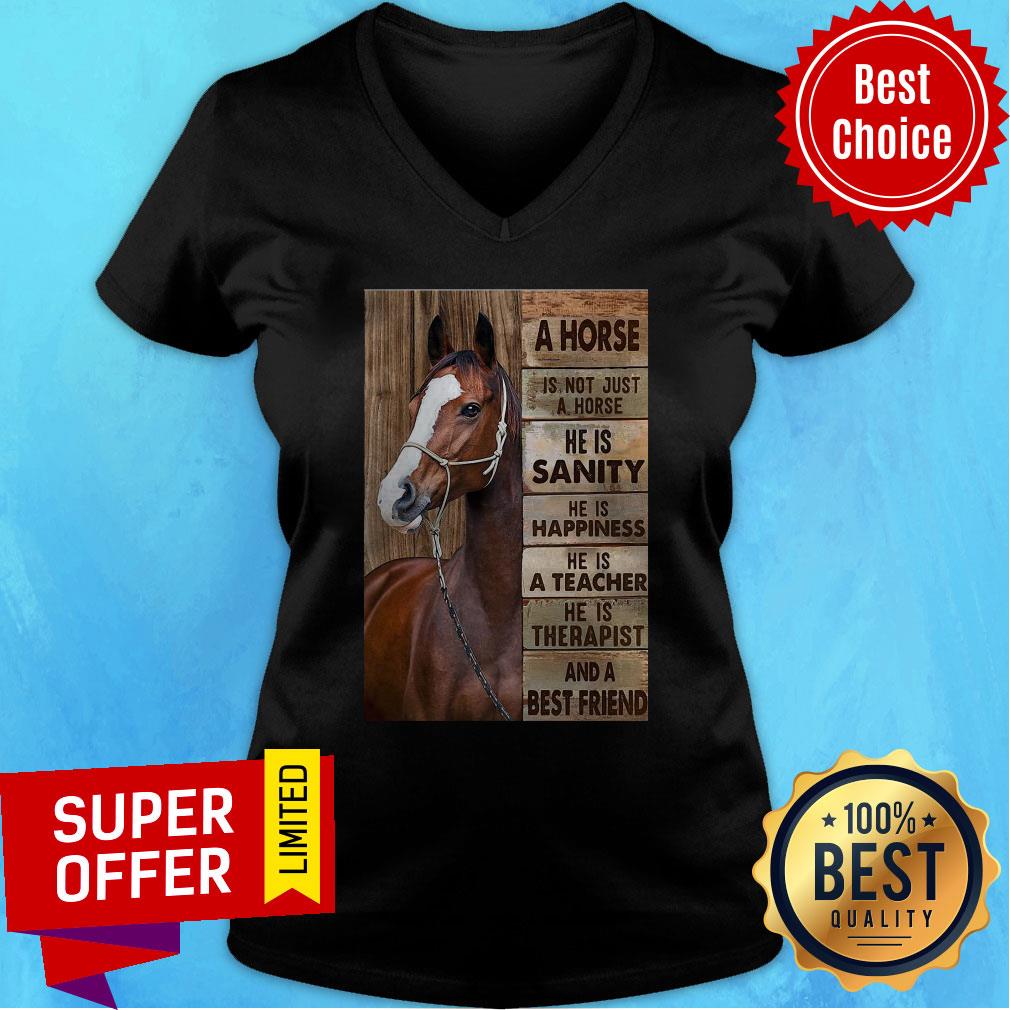 A Horse Is Not Just A Horse He Is Sanity He Is Happiness He Is A Teacher Shirt