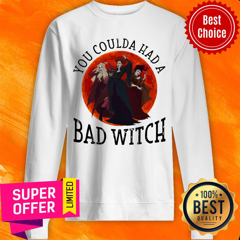 Awesome You Coulda Had A Bad Witch Shirt