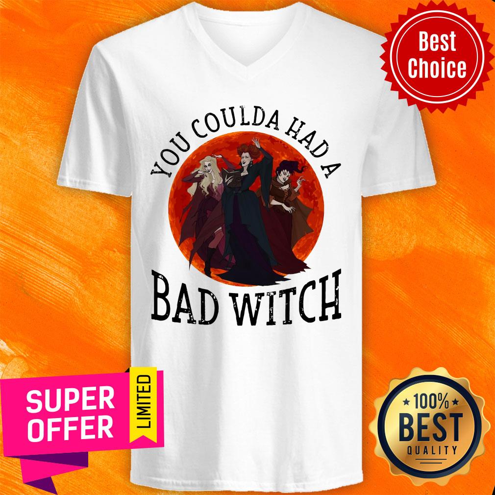 Awesome You Coulda Had A Bad Witch Shirt