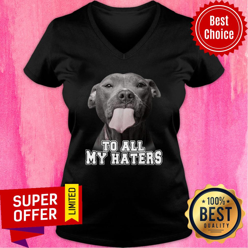 Bleble Pitbull To All My Haters Shirt