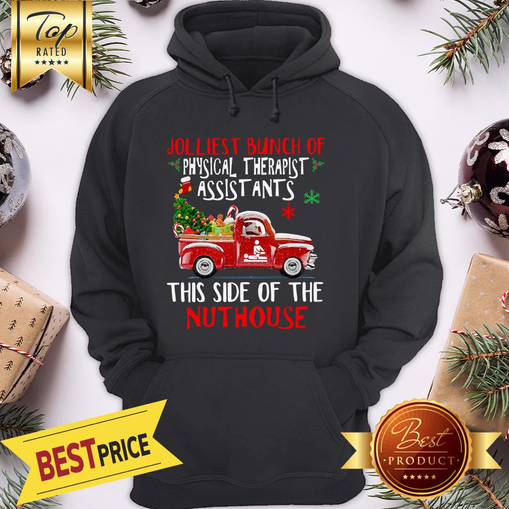 christmas-truck-jolliest-bunch-of-social-workers-this-side-of-the-nuthouse-hoodie.jpg
