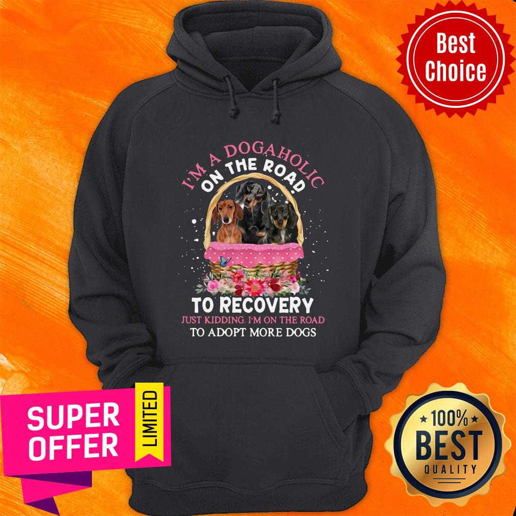 dachshund-lovers-dogaholic-road-to-recovery-just-kidding-im-on-the-road-adopt-more-dogs-hoodie.jpg