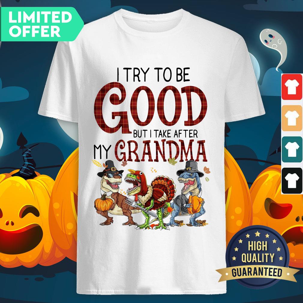 Dinosaur I Try To Be Good But I Take After My Grandma Shirt