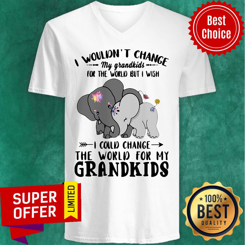 elephants-i-wouldnt-change-my-grandkids-for-the-world-but-i-v-neck.jpg