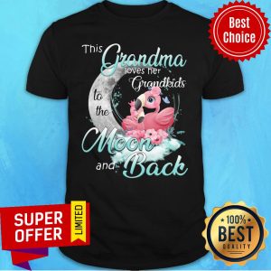Awesome Flamingo This Grandma Loves Her Grandkids To The Moon And Back Shirt