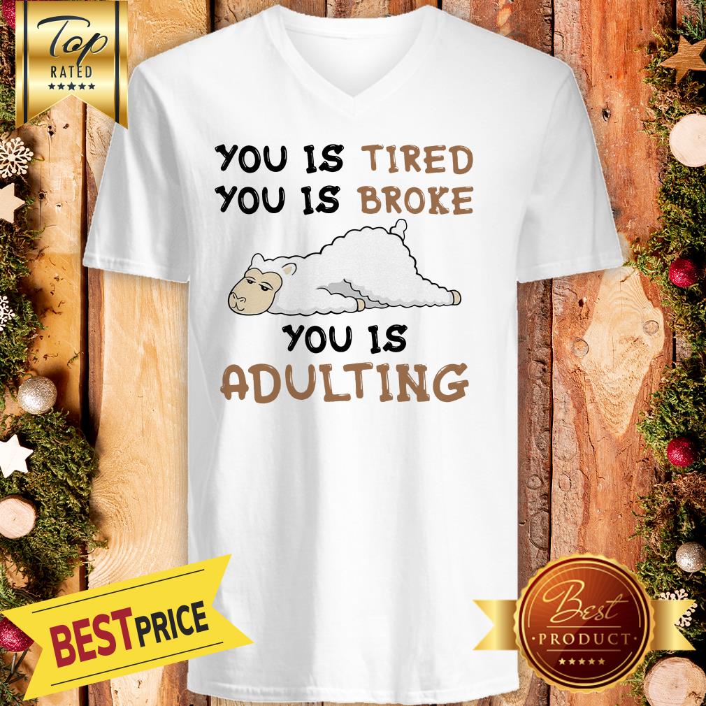 Hot You Is Tired You Is Broke You Is Adulting Sheep Shirt