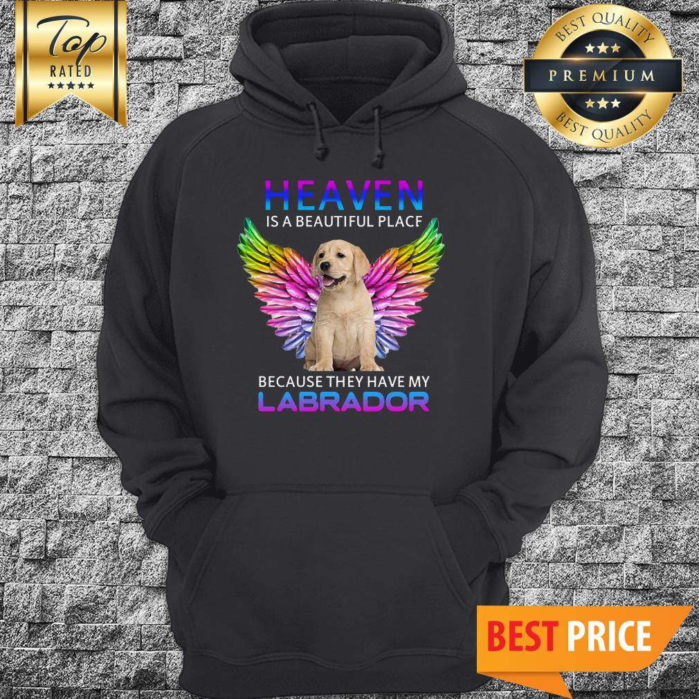 I Know Heaven Labrador Best Friend Shirt