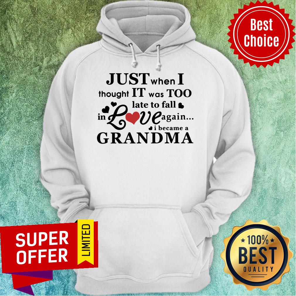just-when-i-thought-it-was-too-late-to-fall-in-love-again-i-became-a-grandma-hoodie.jpg