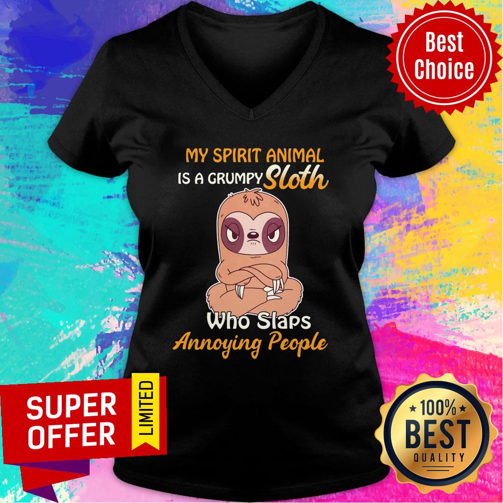 My Spirit Animal Is A Grumpy Sloth Angry Who Slaps Annoying People Shirt