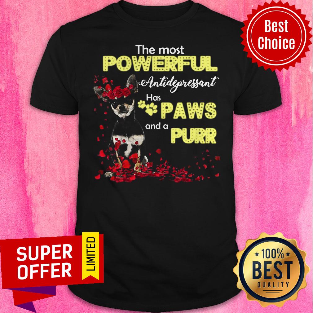 Nice Dog The Most Powerful Antidepressant Has Paws And A Purr Shirt