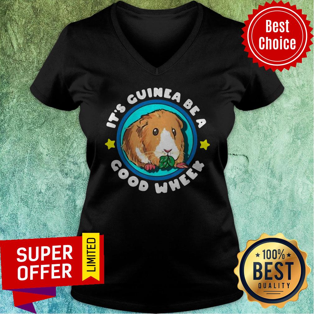 Nice It’s Guinea Be A Good Wheek Shirt