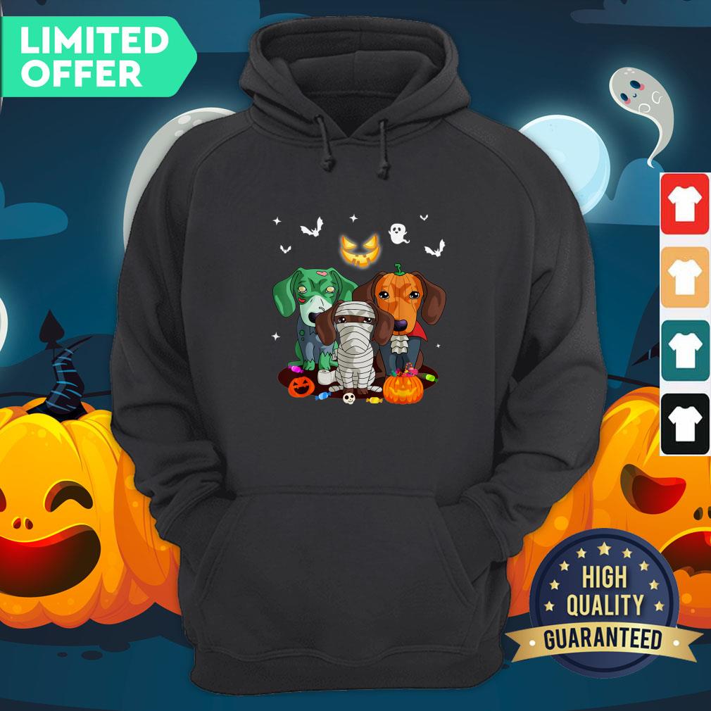 Official Dachshund Friend Halloween Shirt