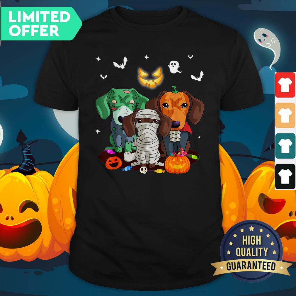 Official Dachshund Friend Halloween Shirt