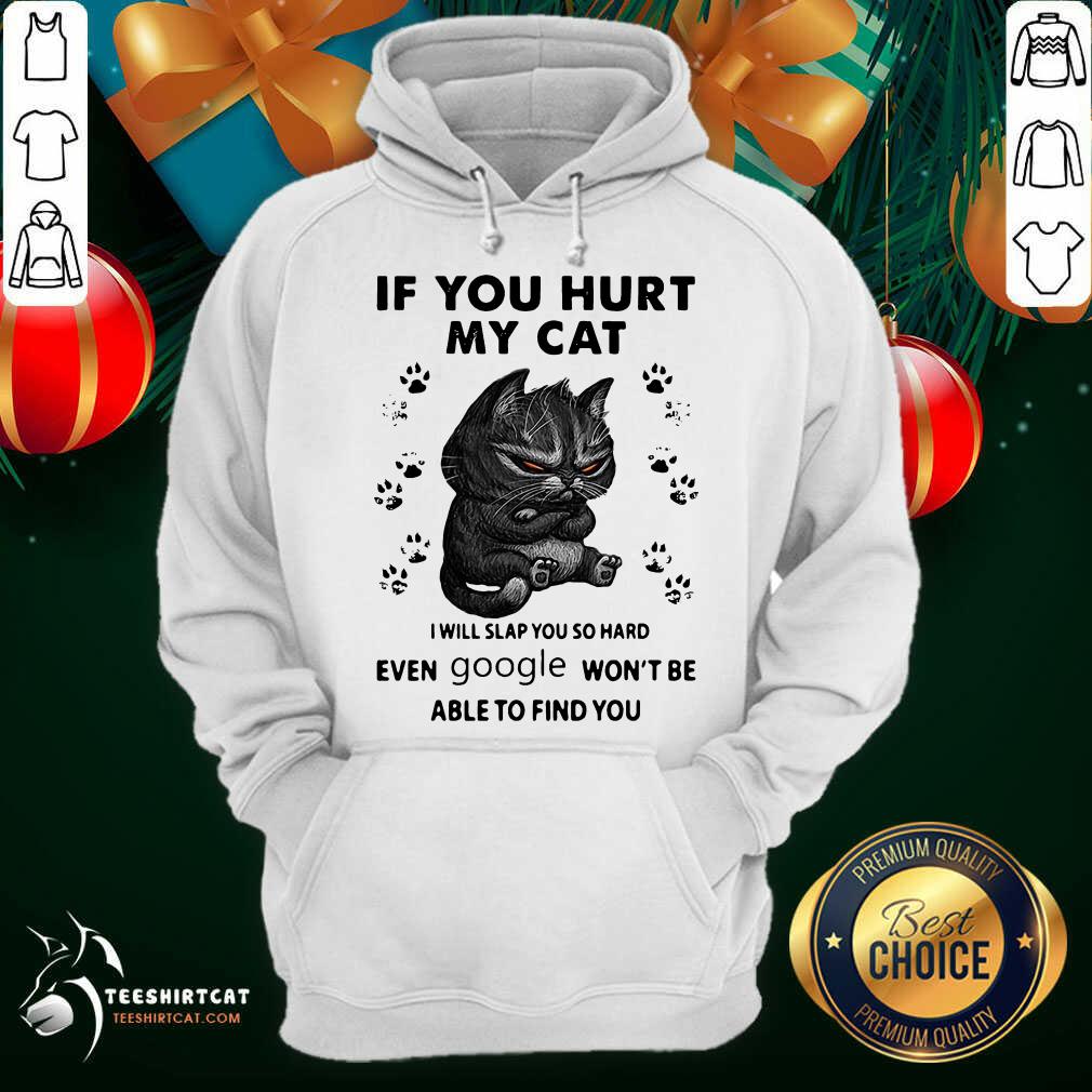 original-if-you-hurt-my-cat-i-will-slap-you-so-hard-even-google-wont-be-ablhoodie.jpg