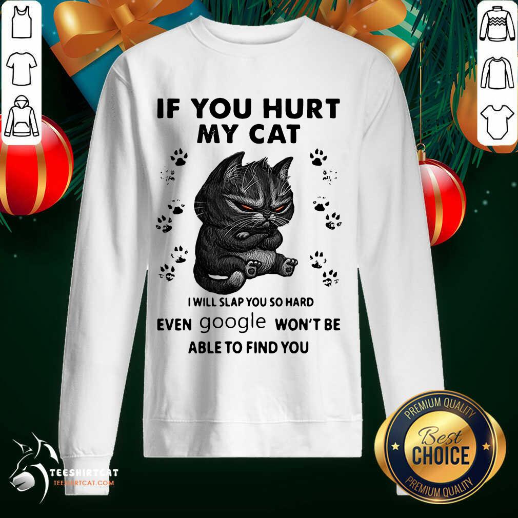 original-if-you-hurt-my-cat-i-will-slap-you-so-hard-even-google-wont-besweatshirt.jpg