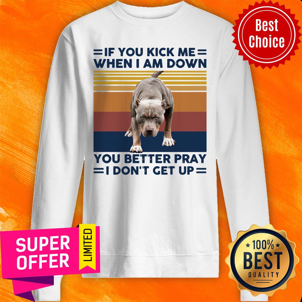 pitbull-if-you-kick-me-when-i-am-down-you-better-pray-i-dont-get-up-vintage-retro-sweatshirt.jpg
