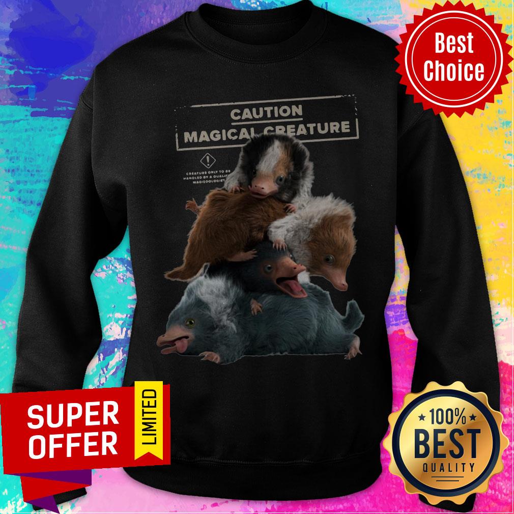 Premium Fantastic Beasts 2 Cuddle Puddle Shirt