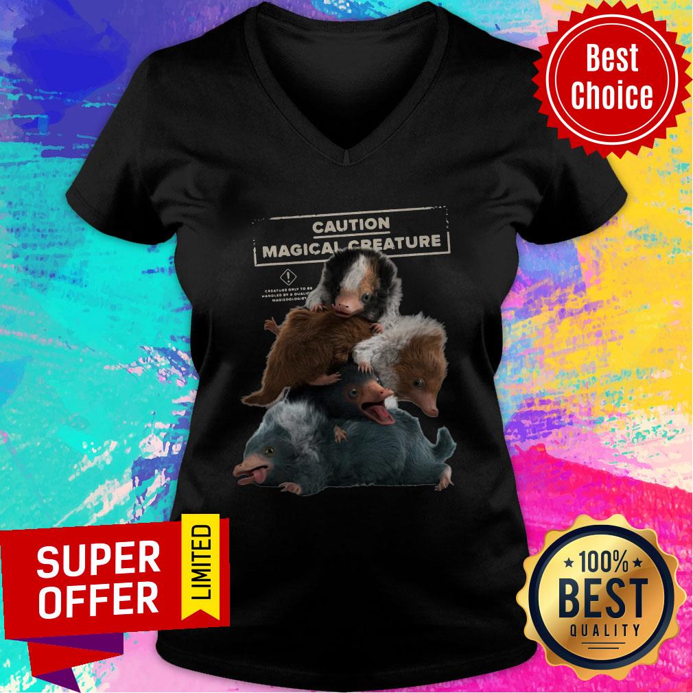 Premium Fantastic Beasts 2 Cuddle Puddle Shirt
