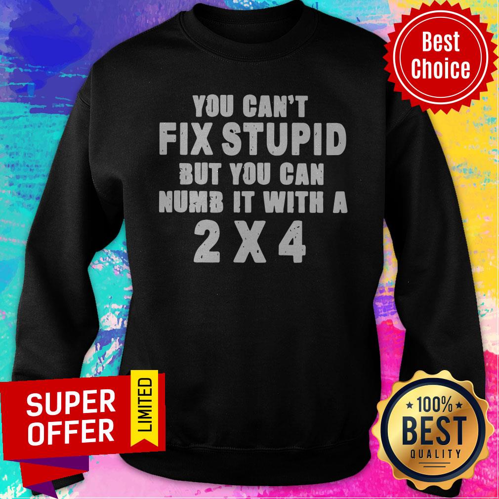 Premium You Can’t Fix Stupid But You Can Numb It With A 2×4 Shirt