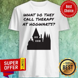 Awesome What Do They Call Therapy At Hogwarts Shirt
