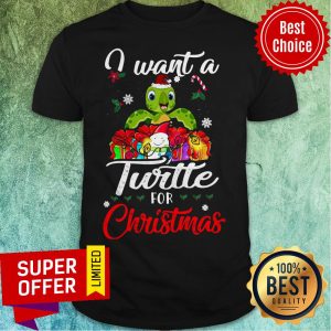 Premium I Want A Turtles For Christmas Shirt